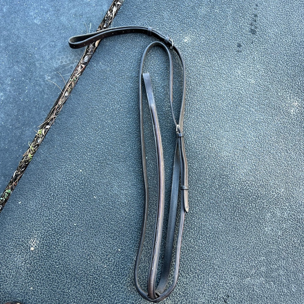 Standing martingale XF brown used quality